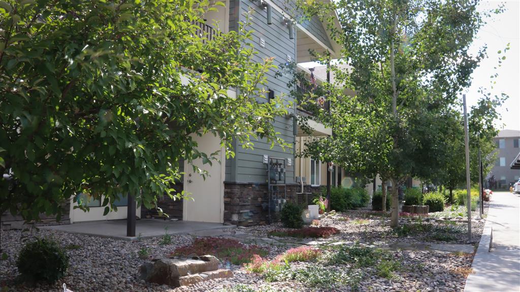 Gallery Photo 12
